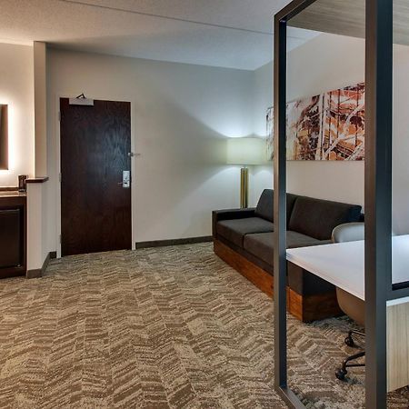 Springhill Suites By Marriott Birmingham Downtown At Uab Экстерьер фото